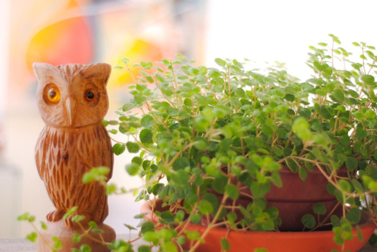 Double Room,1499318311:JPEG